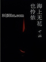 海上无花也怜侬小说