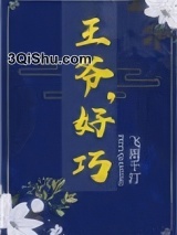 王爷，好巧小说