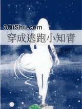 穿成逃跑小知青小说