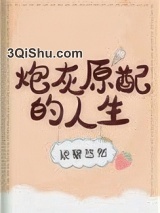 炮灰原配的人生(快穿)小说