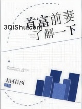 首富前妻了解一下小说