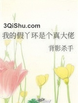 我的假丫环是个真大佬小说