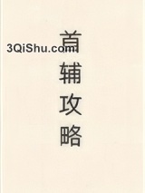 首辅攻略（重生）小说
