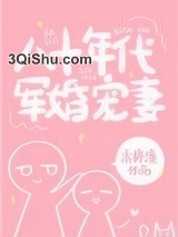 八十年代军婚宠妻小说