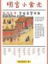 明宫小食光小说