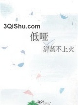 低哑小说