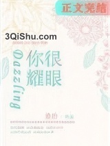 你很耀眼小说