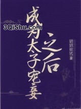 成为太子宠妾之后小说