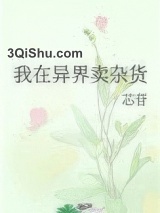我在异界卖杂货小说
