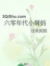 六零年代小舅妈小说
