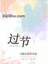 过节小说