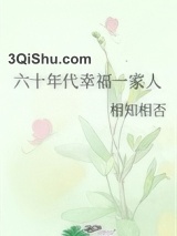 六十年代幸福一家人小说