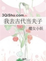 我去古代当夫子小说