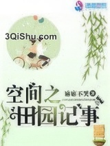 空间之田园记事小说