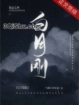 白月刚小说