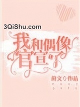 我和偶像官宣了！小说