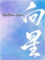 向星小说