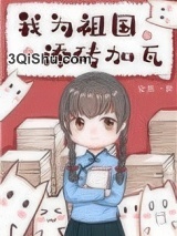 我为祖国添砖加瓦小说
