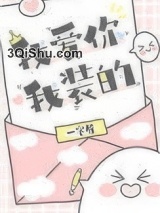 我爱你，我装的小说