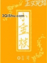 小金枝小说