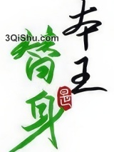 替身竟是本王自己（双替身）小说