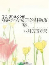 穿越之农家子的科举攻略小说