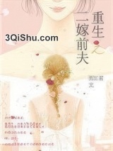 重生之二嫁前夫小说