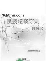 良妾逆袭守则小说