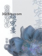 我嫁的书生超宠妻（重生）小说