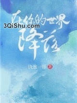 在你的世界降落小说