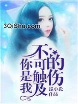 你是我不可触及的伤小说