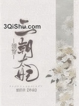 [清穿]三朝太妃小说