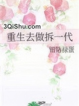 重生去做拆一代小说