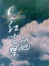 红尘里的她小说