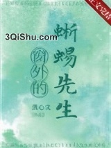 窗外的蜥蜴先生小说