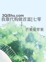 我靠代购做首富[七零]小说
