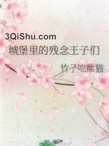 城堡里的残念王子们小说