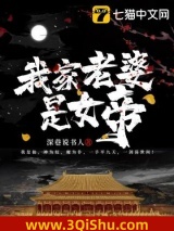 我家老婆是女帝小说