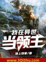我在异世当领主小说