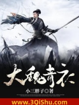 大魏青衣小说