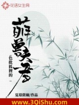 色批狐狸的萌兽夫君小说