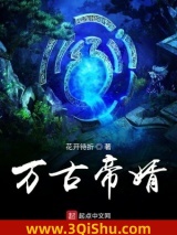万古帝婿小说