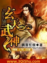 玄天武神小说
