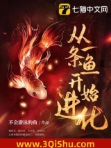 从一条鱼开始进化小说