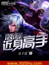 校花的近身高手小说