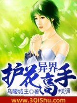 异界护花高手小说
