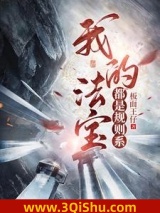 我的法宝都是规则系小说