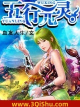 五行元灵小说