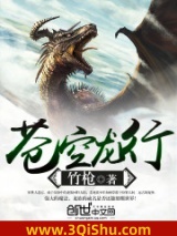 苍空龙行小说