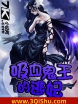 吸血鬼王的逃妃小说